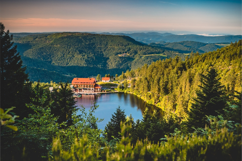 Private Day Tour from Frankfurt to the Black Forest & Baden-Baden udIGYb88