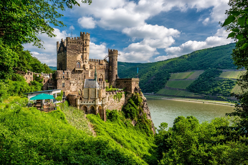 Private Tour from Frankfurt to Rhine Valley: Castles & Vineyards bYDCFAYw