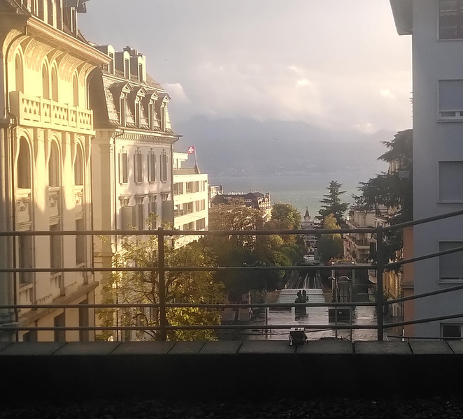 Lausanne: Cultural and Historical Guided Walking Tour Y4yIv8rH