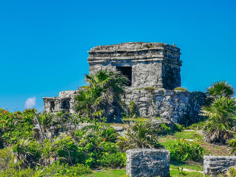 Private Tour from Cancun: Explore Tulum Ruins & Jungle Cenote QC6GdCiJ