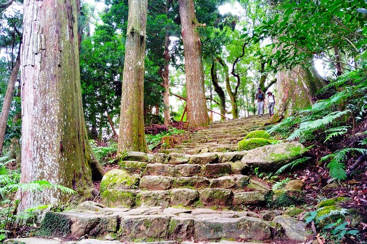 Wakayama: Kumano Nachi Taisha, Seiganto-ji & Waterfall Tour m4kt6Xbh