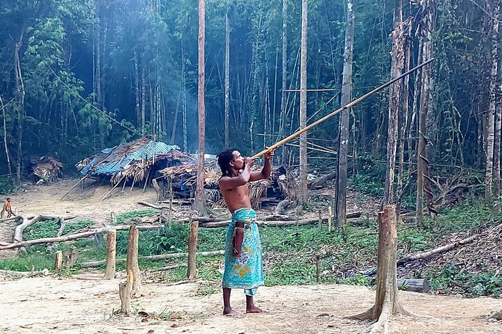 One day trip Learning the Private Lifestyle of the Forest People. tef1xavs