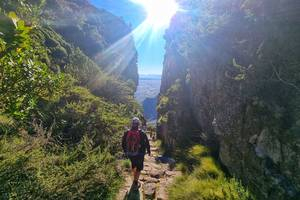 Table Mountain Hike and Abseiling Experience in Cape Town VjVp5hlK