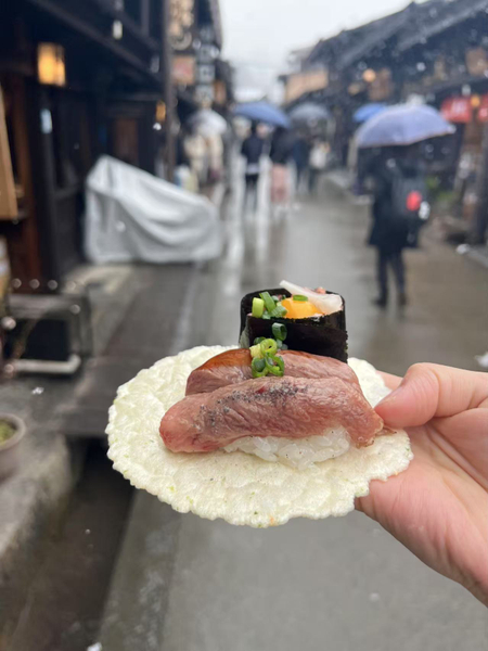 Takayama & Fairytale Shirakawa-go World Heritage DayTour from Nagoya CYpuPAmp
