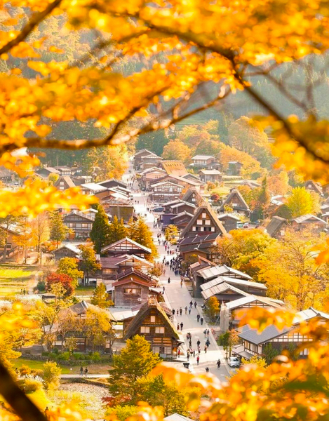Shirakawa-go Gassho Village & Hida Takayama Old Town Walking Day Tour in Central Japan (Departing from Nagoya) itD53Wv4