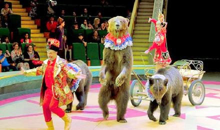 Great Moscow State Circus n9FM62X3