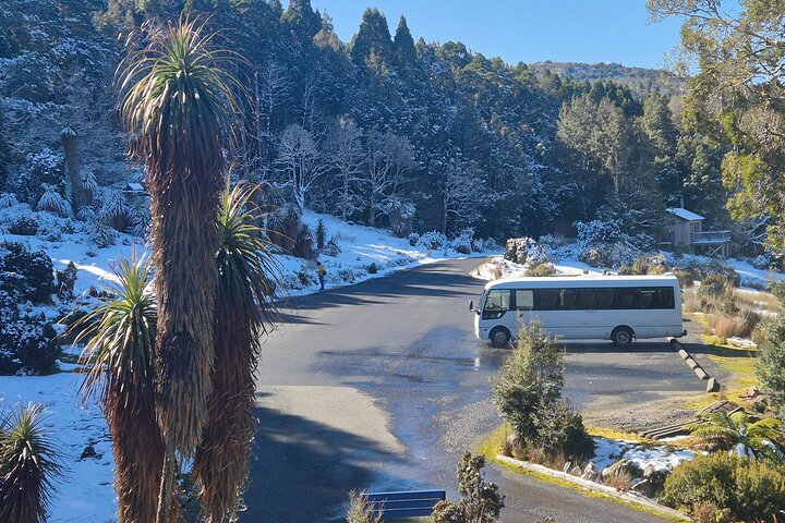 Cradle Mountain Half Day Park Explorer Tour with Lunch Det9PTO6