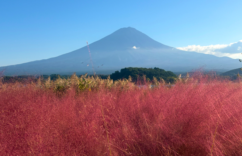 Mount Fuji's Six Major Instagrammable Photo Spots One-Day Tour: Lake Yamanaka Upside-Down Fuji & Arakurayama Sengen Park & Nichikawa Clock Shop & Oishi Park (Departing from Tokyo) tWvssE4G
