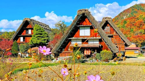 Shirakawa-go Thatched Village & Hida Takayama Tour from Nagoya VQk5lLD4