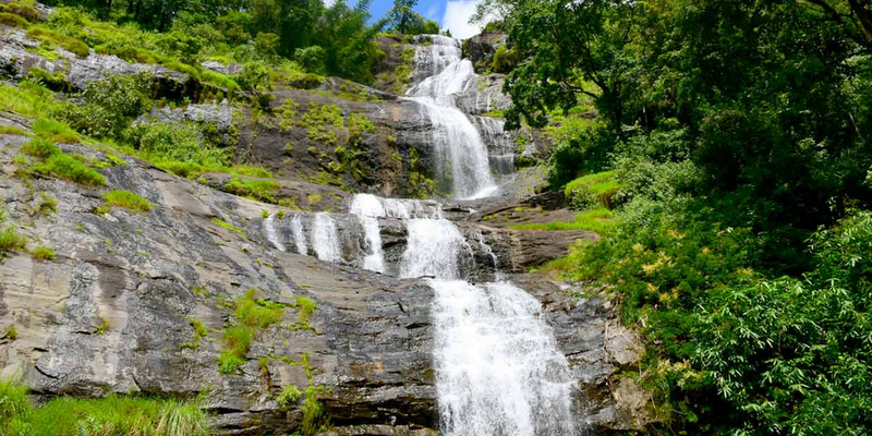 Private Day Trip to Munnar from Kochi AhlbTcHc