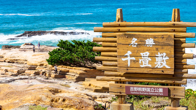 Wakayama Day Trip: Cat Stationmaster Kishi Station Train Experience, Tuna Cutting Show, Shirahama Onsen, Senjojiki Sandanbeki (Round trip from Osaka) asANupvm