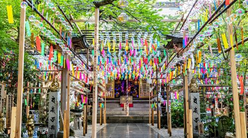 Japan Fukuoka Nyoirin-ji Temple on Qingying Mountain, Mount Yufu Trailhead, Yufuin, and Beppu Hells One-Day Tour Day Tours 8qv5E827