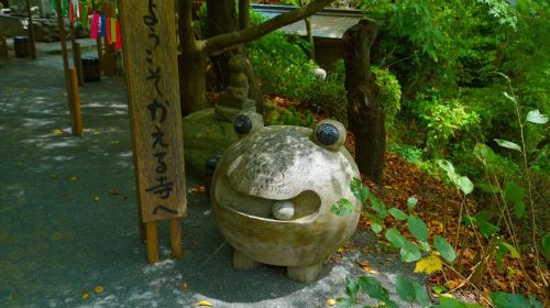 A day trip to Yufuin, Nyoji Temple, Yufuin, Lake Kinrin, and Beppu Hell Hot Springs in Kyushu. Day Tours unu2T9xd