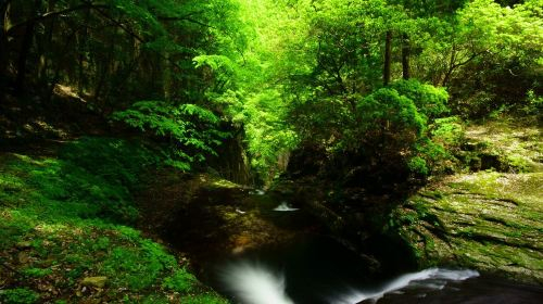 Akame 48 Waterfalls GJ3tiiZO