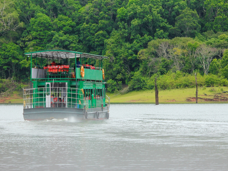 Cochin: 6-Day Private Tour with Munnar, Thekkady & Alleppey OVJ4wVI5