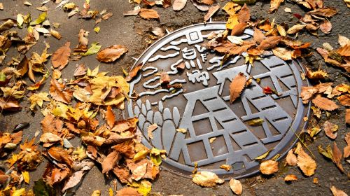 Nagoya Shirakawa-go Gassho Village & Hida Takayama 1-Day Tour | Hidden Gem Adventure Day Tours IodRzw72