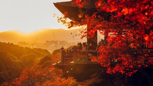One-Day Tour in Kyoto and Nara (Kiyomizu-dera Temple + Fushimi Inari Taisha + Meet Cute Deer at Nara Park) Day Tours pIJuOnWL