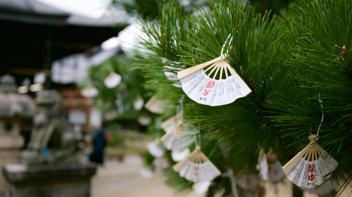 1-day tour to Amanohashidate, Ine Fishing Village & Kayabuki No Sato in Kyoto, Japan [Three Hidden Scenic Spots] Day Tours PIjUHgCc