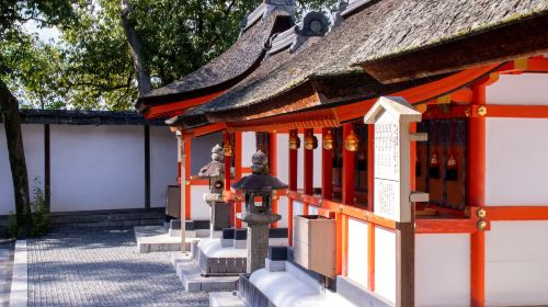 Kyoto & Nara 7 Major Spots Highlights Day Tour [Kiyomizudera Temple / Fushimi Inari Taisha / Nara Park / Kasugataisha Shrine / Byodoin Temple / Uji Omotesando / Todaiji Temple] Day Tours m7YXr1XM