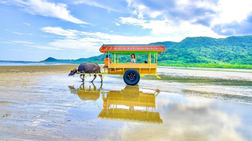 Okinawa Iriomote SUP or Canoe and Sightseeing in Yubujima Island Uny4zSzv
