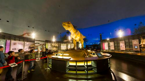 Fukui Prefectural Dinosaur Museum YwikmFln