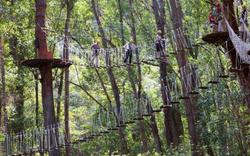 Kohala Canopy Adventure Z3x3T3SY