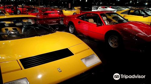 Torino Museum Ce5gKXG2