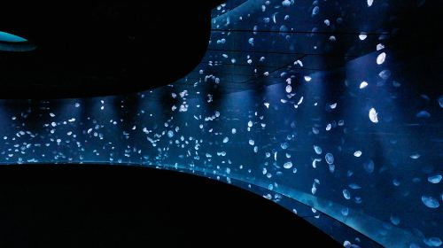 Sunshine Aquarium n4J5KAzs