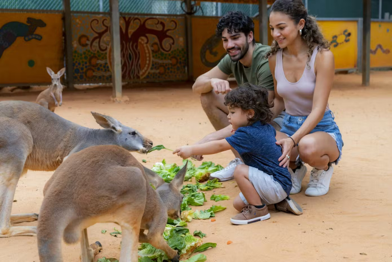 San Antonio Zoo Ticket kPRE10F0