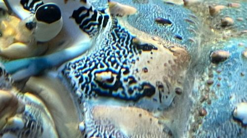 Kagoshima City Aquarium ahsZjND2