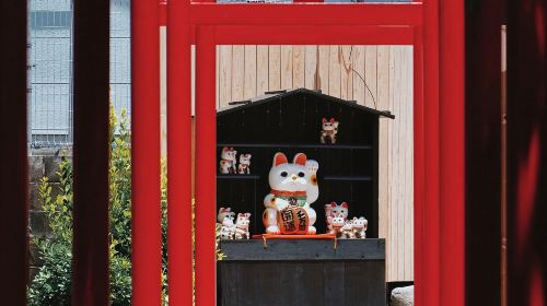 1-day tour to Dazaifu Tenmangu Shrine, Beppu and Lake Kinrin in Yufuin, Oita, Japan VccmeA37