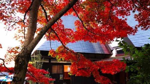 Kaga traditional crafts village Yunokuni no mori blOOoQIm