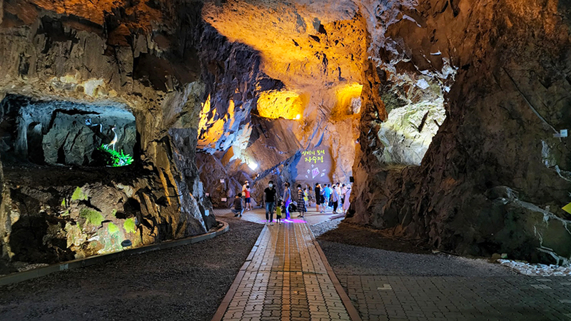 Busan: Ice Valley Cable Car & UNESCO Nature Discovery Tour Tlic5Uwo