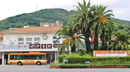 Izu Tokai Bus Free Ride Pass BiGVIKS5