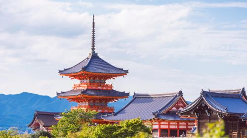 One-Day Tour of Nara Park and Kyoto's Ancient Temples Day Tours EzGg5i14
