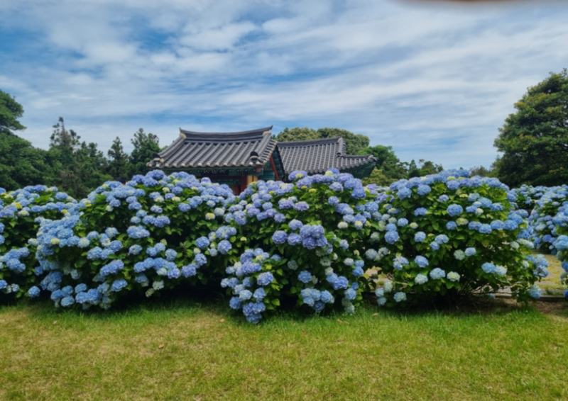 Jeju UNESCO Sites Full-Day Group Tour dg6tdGbH