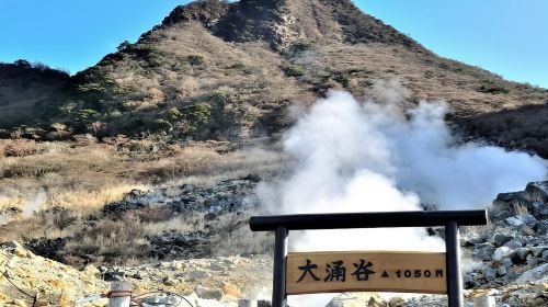 Tiket 1-day tour to Enoshima + Hakone Ropeway + Owakudani + Lake Ashi ...