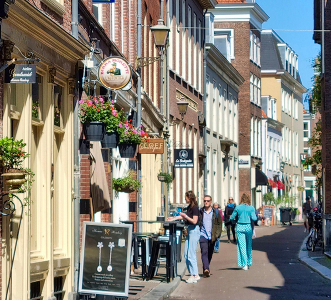 The Hague: City Walking Tour qtX6o95R