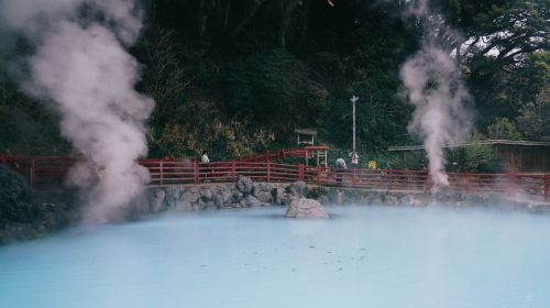 1-day tour to Beppu, Yufuin Onsen, Kinrinko Lake, Kyushu Wildlife Park African Safari and Umi Jigoku Day Tours NxLNRd4T