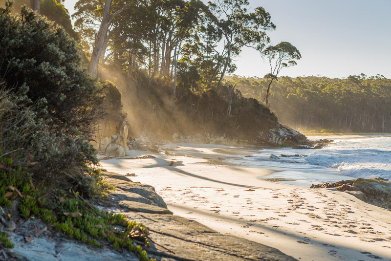 Bruny Island Full-Day Tour from Hobart qP2az0O9