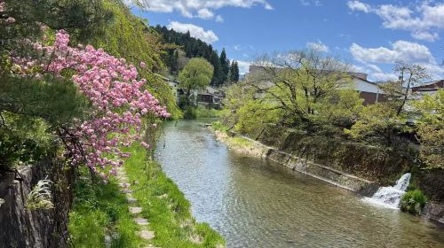 Nagoya Shirakawa-go Gassho Village + Hida Takayama Day Tour|Two daily departures EE0CEmML