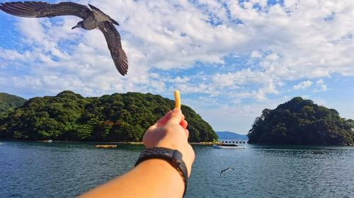 Amanohashidate Viewland + Ine Funaya 1-day tour, round-trip from Osaka, with complimentary airport-hotel bus ticket WkyBmCOn