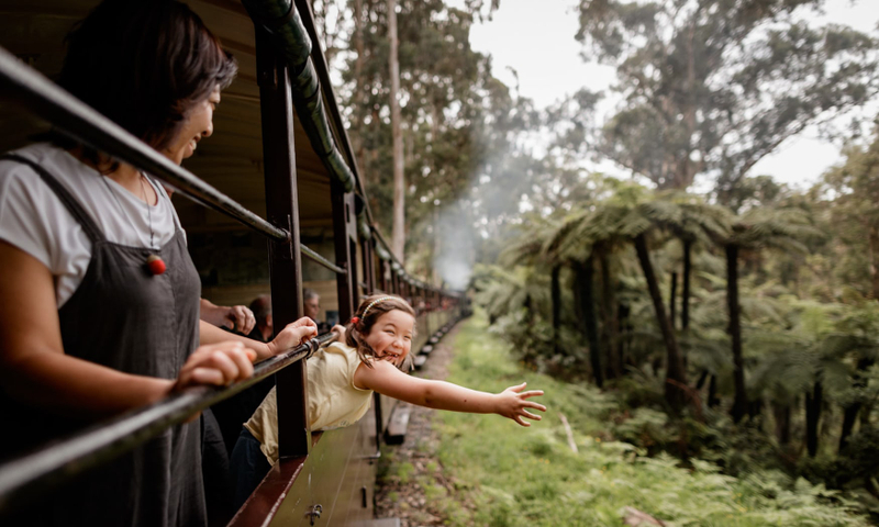 Puffing Billy, Forest Trails & Yarra Valley Discovery Tour WjMGiJbh