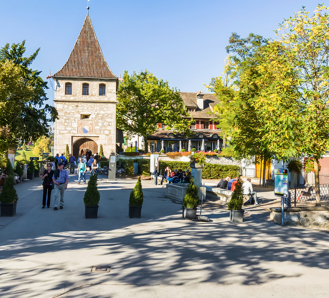 From Zurich: Rhine Falls Coach Tour with Entry Tickets 1xBF058C