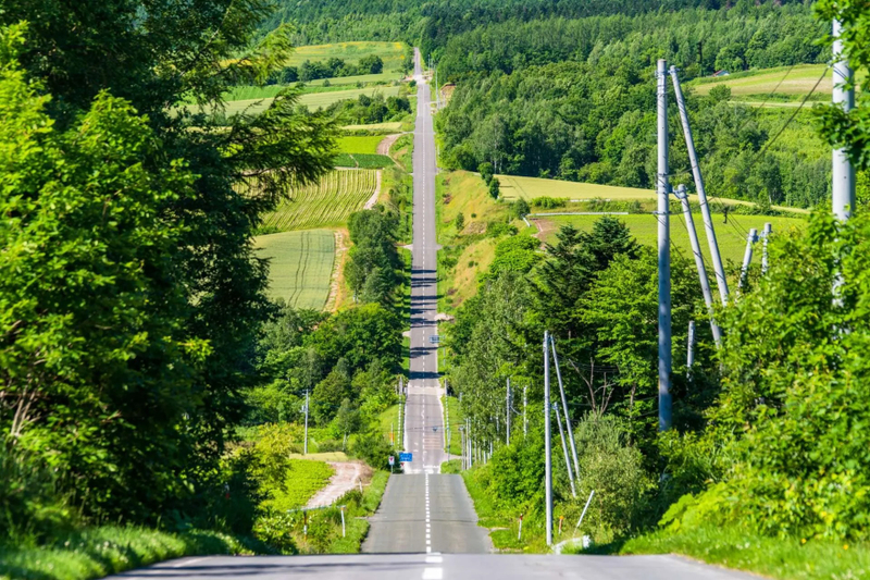 Private Customizable Day Tour to Sapporo & Otaru (From Sapporo) e4cPR2Ph