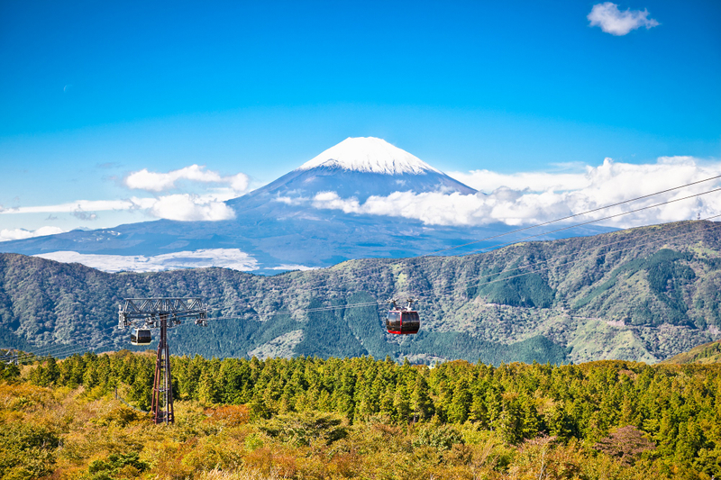 Mount Fuji and Hakone Day Trip from Tokyo in Spanish l0W1xiQY