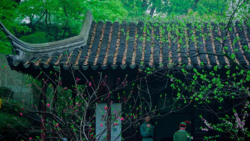 A one-day tour of Suzhou city highlights | Humble Administrator's Garden, Tiger Hill, Lion Grove Garden, Hanshan Temple ELfkCeHF