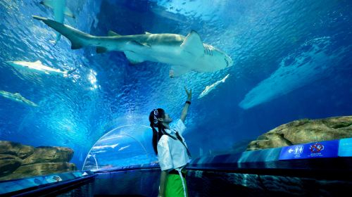 Shanghai Ocean Aquarium L7yK585I