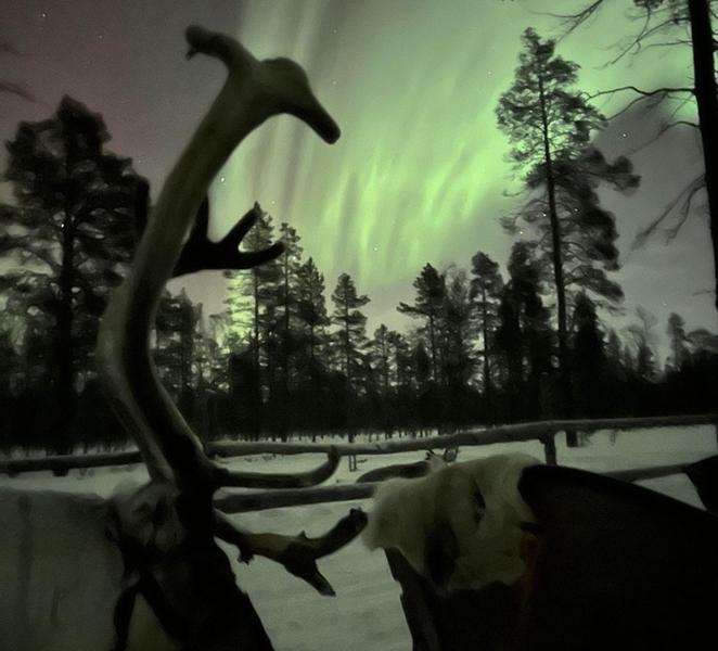 Saariselkä: Northern Lights & Reindeer Sledding Tour DO2x6Km7