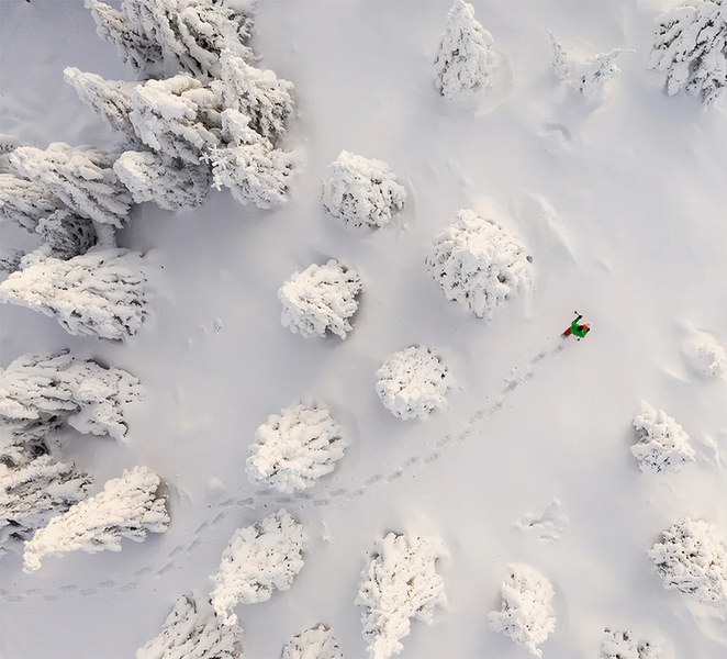 Rovaniemi: Hiking and Snowshoeing Adventure in Lapland dXRnmod2